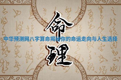 中华预测网八字算命揭秘你的命运走向与人生选择
