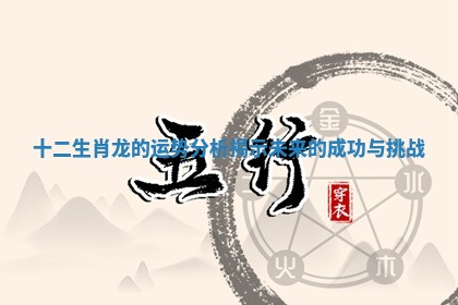 十二生肖龙的运势分析揭示未来的成功与挑战
