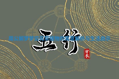 周公解梦梦见花草植物的寓意解析与生活启示