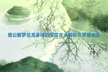 周公解梦见龙身体的深层含义解析与梦境启示