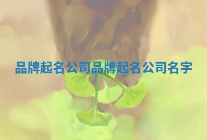 品牌起名公司_品牌起名公司名字