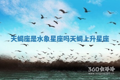 天蝎座是水象星座吗_天蝎上升星座