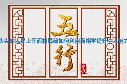 头尖的人是上等面相揭秘如何利用面相学提升个人魅力