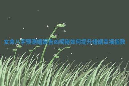 女命八字预测婚姻吉凶揭秘如何提升婚姻幸福指数 女命八字预测婚姻吉凶揭秘如何提升婚姻幸福指数