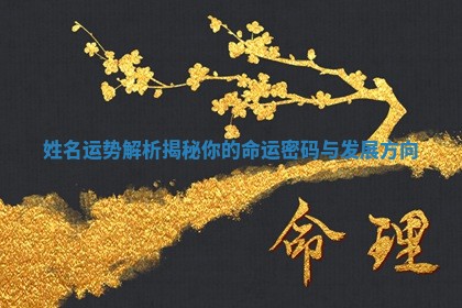 姓名运势解析揭秘你的命运密码与发展方向