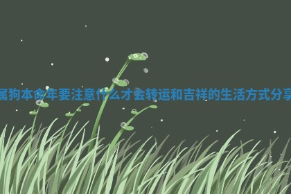属狗本命年要注意什么才会转运和吉祥的生活方式分享