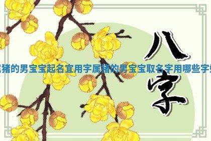 属猪的男宝宝起名宜用字_属猪的男宝宝取名字用哪些字好