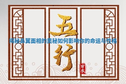 揭秘鼻翼面相的奥秘如何影响你的命运与性格