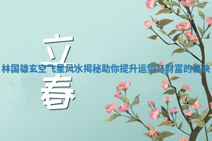 林国雄玄空飞星风水揭秘助你提升运势与财富的秘诀