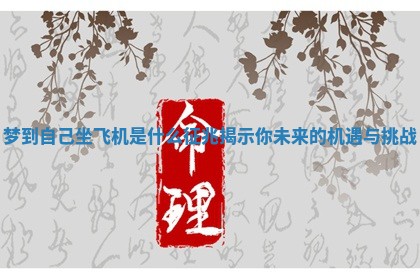 梦到自己坐飞机是什么征兆揭示你未来的机遇与挑战 梦到自己坐飞机是什么征兆揭示你未来的机遇与挑战