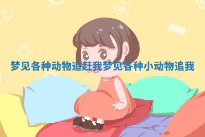 梦见各种动物追赶我_梦见各种小动物追我