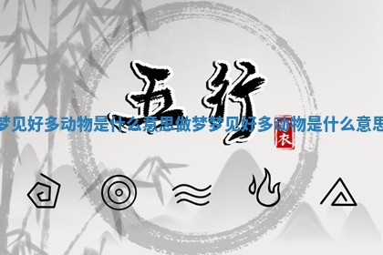 梦见好多动物是什么意思 做梦梦见好多动物是什么意思 梦见好多动物是什么意思 做梦梦见好多动物是什么意思