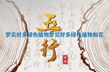 梦见好多绿色植物_梦见好多绿色植物和花