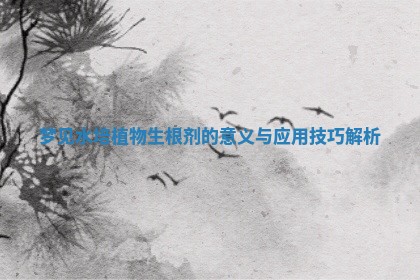 梦见水培植物生根剂的意义与应用技巧解析