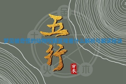 梦见被奇怪的动物咬脚意味着什么解析与解读秘诀