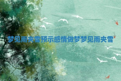 梦见雨夹雪预示感情 做梦梦见雨夹雪 梦见雨夹雪预示感情 做梦梦见雨夹雪