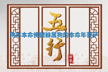 狗年本命佛貔貅_属狗的本命年菩萨