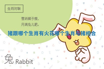 猪跟哪个生肖有火花_哪个生肖与猪相合