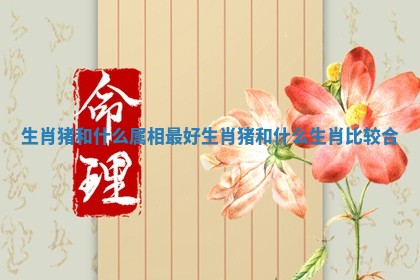 生肖猪和什么属相最好_生肖猪和什么生肖比较合