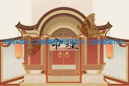 的马h会十二生肖属性知识_马在十二生肖里念什么