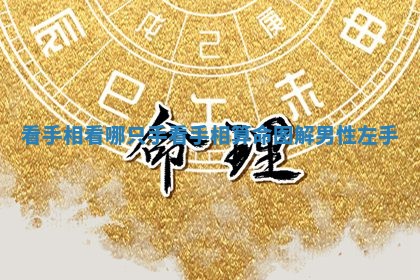 看手相看哪只手 看手相算命图解 男性左手