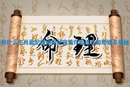 虎和什么生肖最配结婚揭秘完美伴侣组合和婚姻幸福秘诀