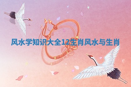 风水学知识大全12生肖 风水与生肖