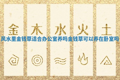 风水里金钱草适合办公室养吗 金钱草可以养在卧室吗 风水里金钱草适合办公室养吗 金钱草可以养在卧室吗