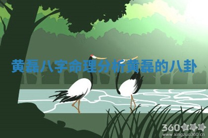 黄磊八字命理分析 黄磊的八卦