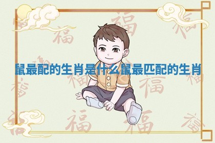 鼠最配的生肖是什么 鼠最匹配的生肖